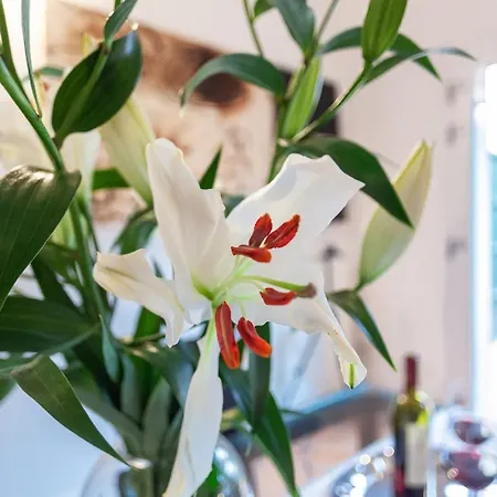 Guesthost - L'angolo Segreto Nel Pieno Centro Di Appartement Ferrara