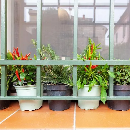 L'angolo Segreto Nel Pieno Centro Di